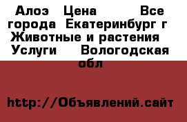 Алоэ › Цена ­ 150 - Все города, Екатеринбург г. Животные и растения » Услуги   . Вологодская обл.